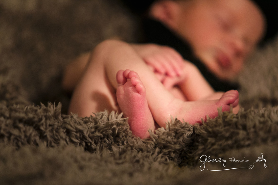 _MG_2247_0135Miguel_fotogomez_