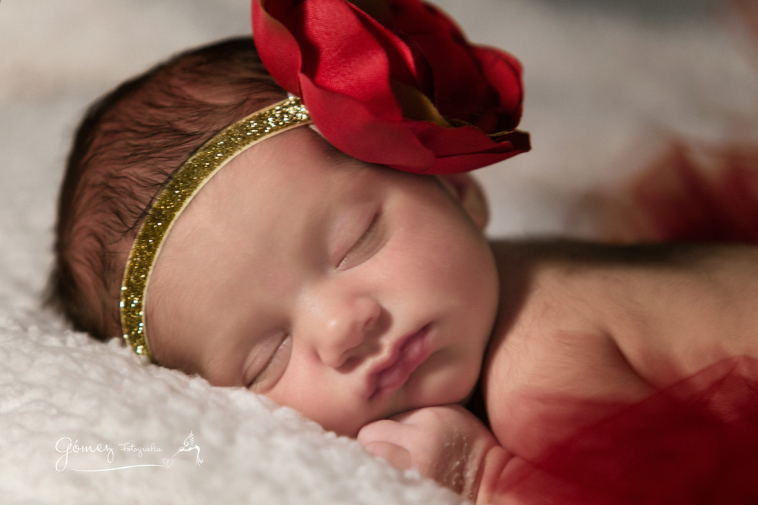 _MG_7251_0127ALEXIA_FOTTOGOMEZ